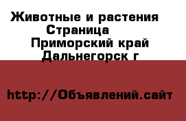  Животные и растения - Страница 10 . Приморский край,Дальнегорск г.